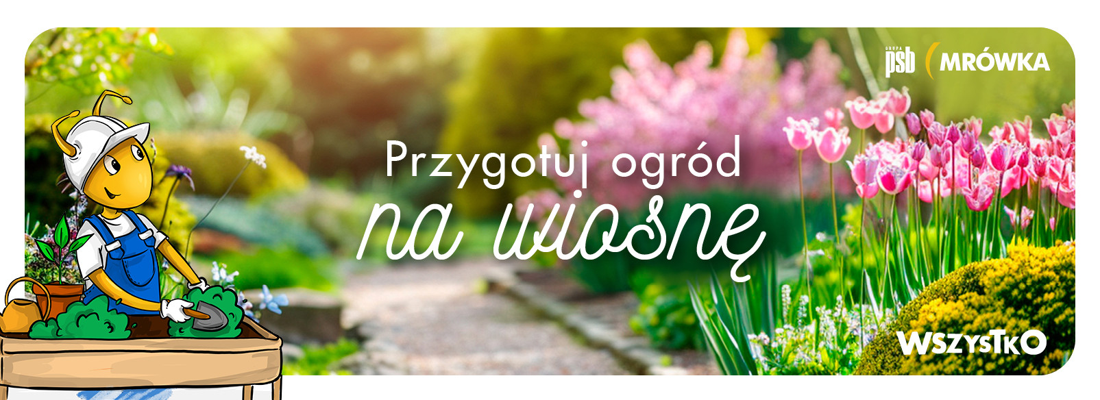 Grupa PSB mrowka PSB Mrówka Elbląg