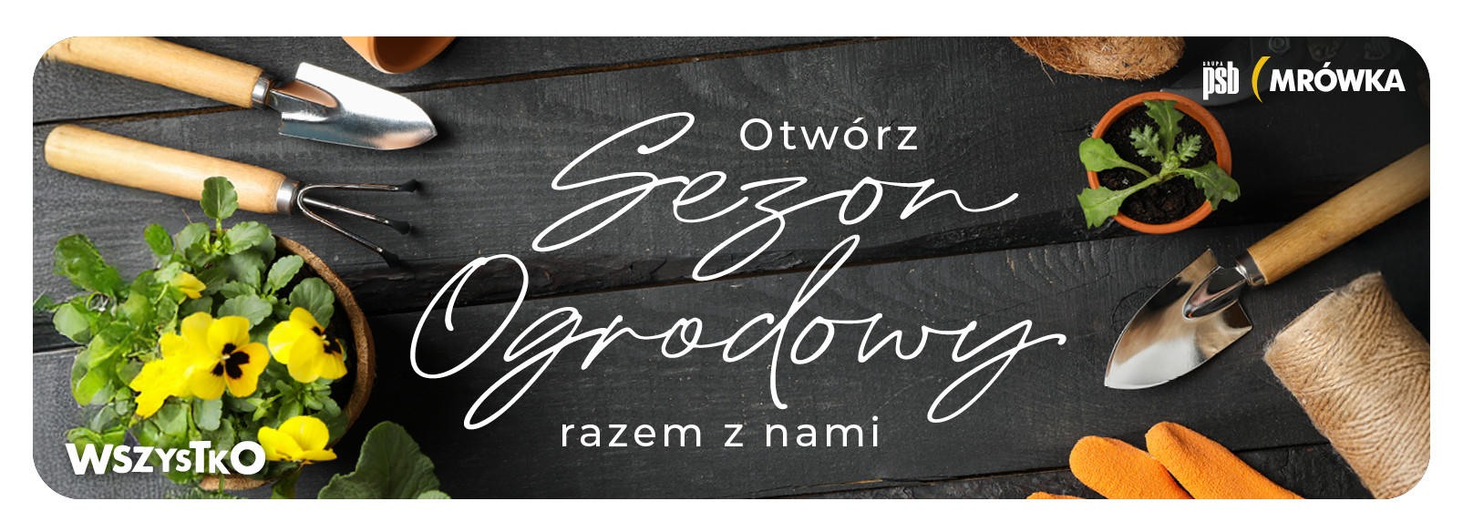 Grupa PSB mrowka PSB Mrówka Elbląg