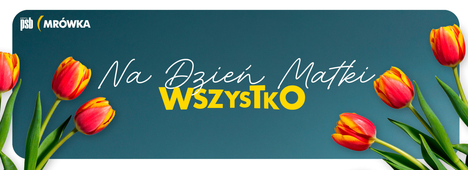 Grupa PSB mrowka PSB Mrówka Elbląg